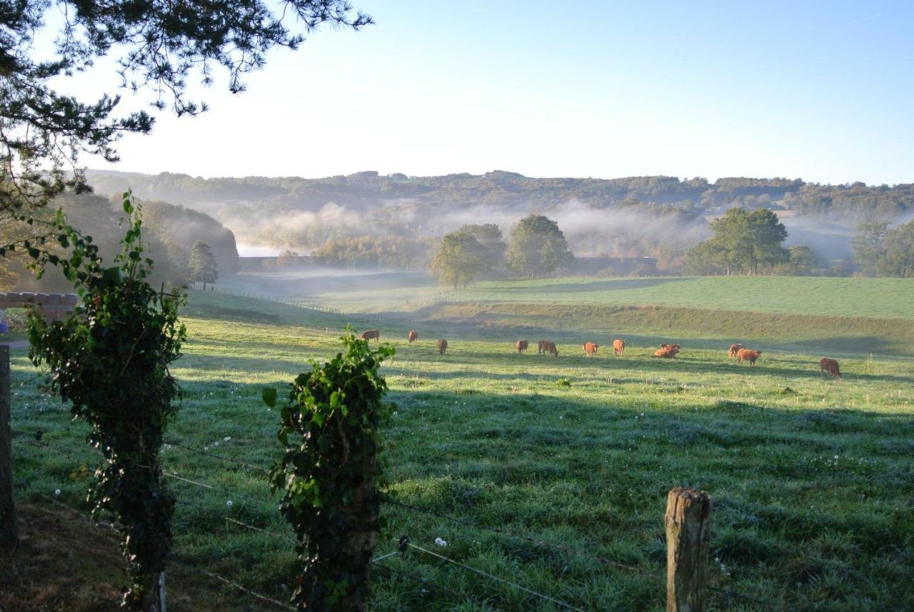 Domaine Les Teuilleres Bed & Breakfast Lacam-dʼOurcet Exterior foto