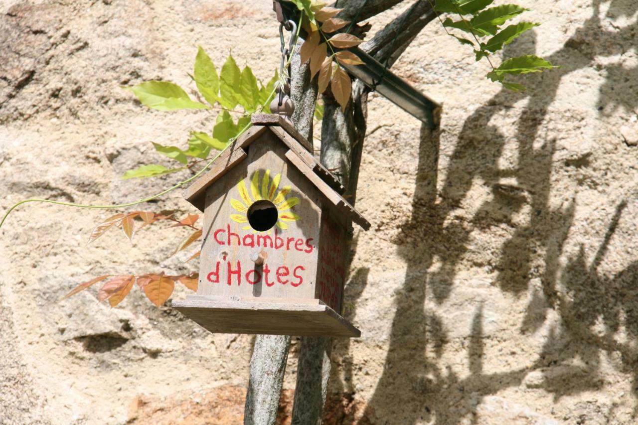 Domaine Les Teuilleres Bed & Breakfast Lacam-dʼOurcet Exterior foto