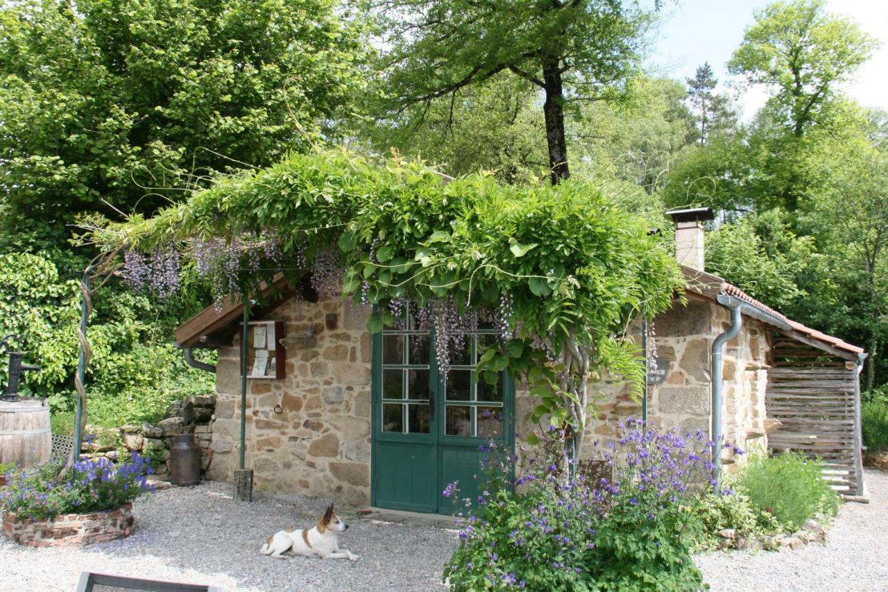 Domaine Les Teuilleres Bed & Breakfast Lacam-dʼOurcet Exterior foto